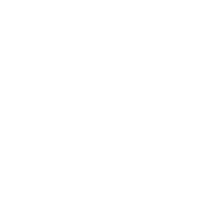 FIBRE ULTRA HAUT DÉBIT
